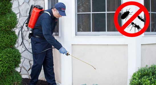 Kadıköy Gümüşkurt İlaçlama böcek ilaçlama ve haşere kontrolü — ilaclama-tr.com
